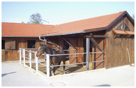 ra02.jpg